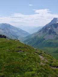 Alpine grasslands